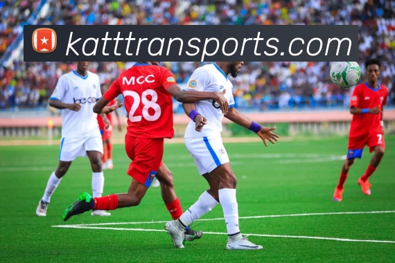 体育下注服务体系